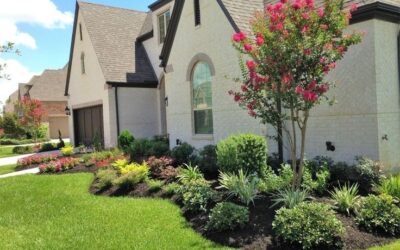 Landscaping Design