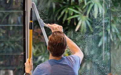 Window Glasses Cleaning